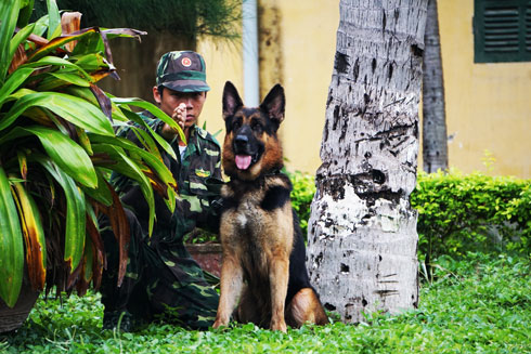 Huấn luyện phục kích.