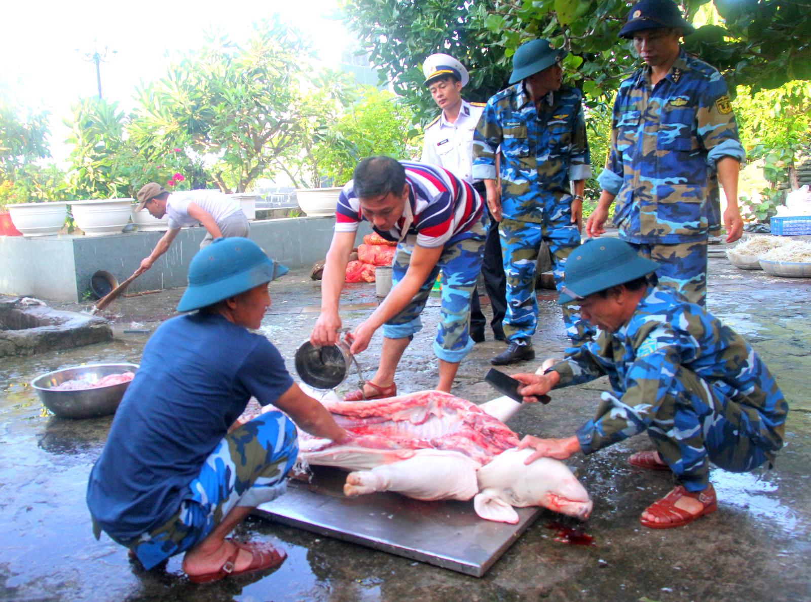 Lính đảo Nam Yết mổ thịt heo ăn Tết 