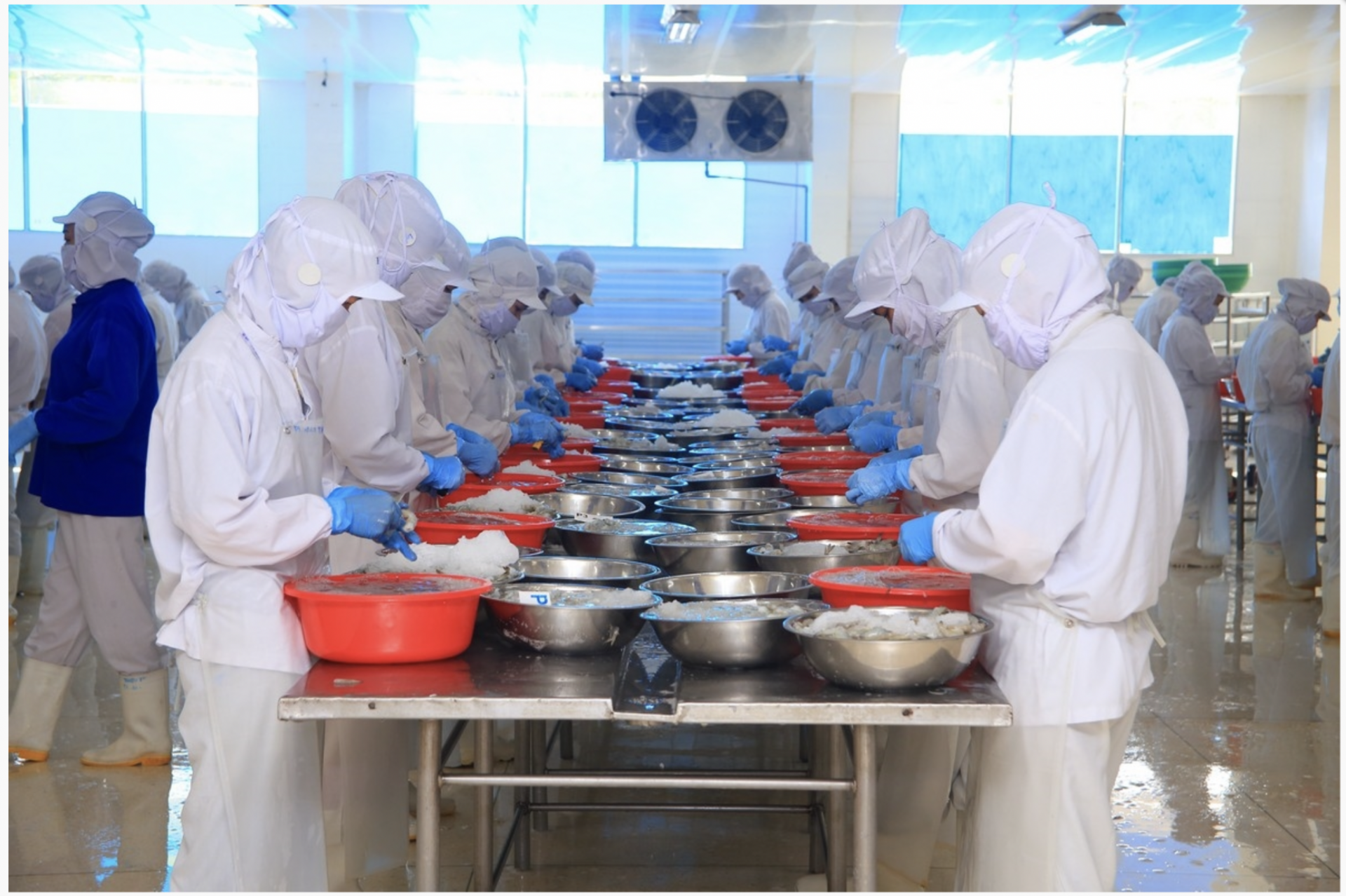 Hoạt động sản xuất các sản phẩm phục vụ xuất khẩu tại Công ty Cổ phần Nha Trang Seafoods.