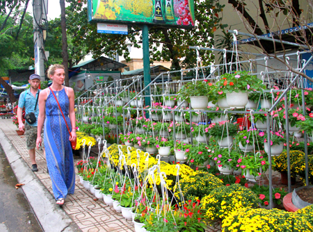 Hoa Tết được bày bán ở đường Lê Thánh Tôn, TP. Nha Trang