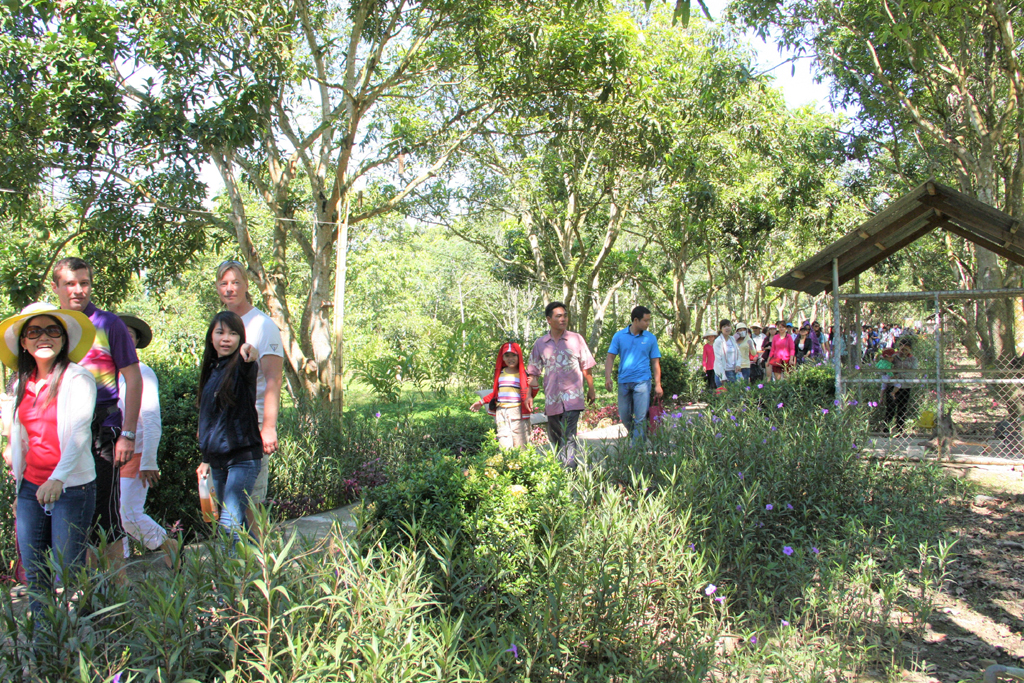 Du khách tham quan vườn cây ăn trái ở Khu du lịch sinh thái Nhân Tâm. 