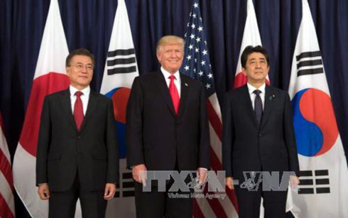 Tổng thống Mỹ, Thủ tướng Nhật Bản và Tổng thống Hàn Quốc tại cuộc gặp bên lề Hội nghị thượng đỉnh G20. (Ảnh: AFP/TTXVN)