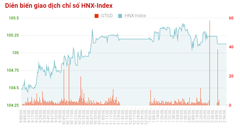 Chốt phiên, chỉ số HNX-Index tăng được 0,62% lên 105,13 điểm