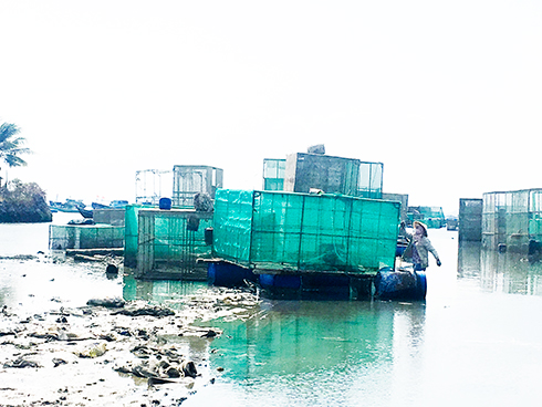 Lồng bè nuôi trồng thủy sản trên vịnh Cam Ranh