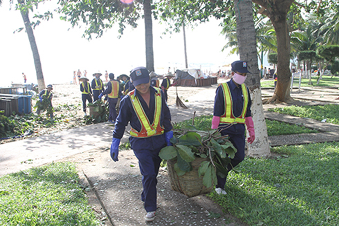 Nhân viên Công ty môi trường đô thị Nha Trang cưa cây dọn vệ sinh ở khu vực biển dọc đường Trần Phú (TP. Nha Trang).