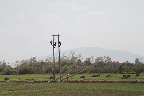 Ngành điện đang khắc phục lưới điện trung thế tại huyện Vạn Ninh ngày 9-11.