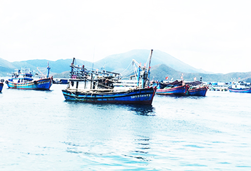 Tại Đầm Môn có rất nhiều tàu từ các tỉnh khác tập trung về khai thác thủy sản sau bão