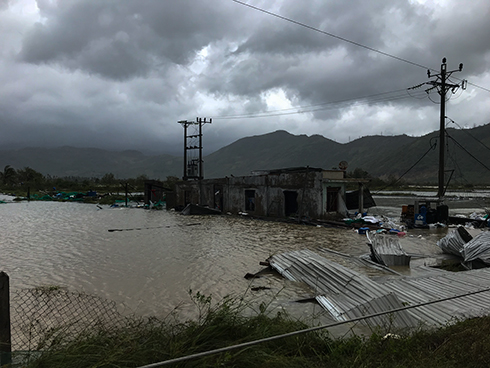Hình ảnh thiệt hại của cơn bão số 12 tại Ninh Hòa