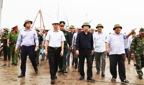 Phó Thủ tướng Trịnh Đình Dũng thị sát cảng cá Đá Bạc