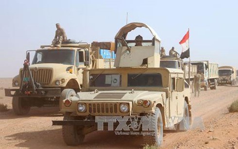 Các lực lượng Iraq trong chiến dịch truy quét IS tại Rawa ngày 28/10. Ảnh: AFP/TTXVN