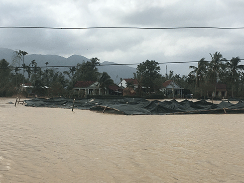 Giàn lưới trồng rau của người dân vừa khắc phục sau bão số 12 lại bị ngập lụt tấn công