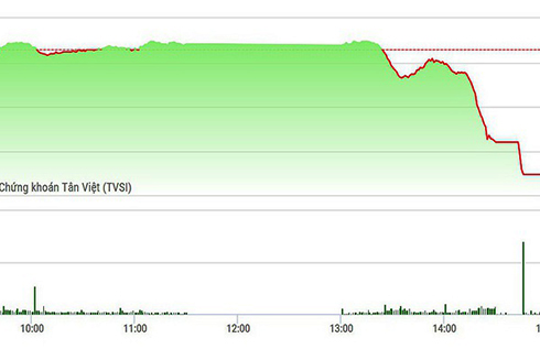 VN-Index rơi thảm chiều nay khi nhà đầu tư đổ xô ra bán tháo. 
