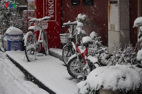 Tuyết rơi lịch sử tại Tokyo