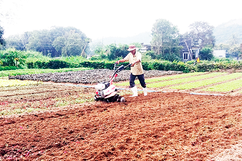 Tổ hợp tác trồng rau sạch Tiến Ra tại xã Cam Phước Đông vay vốn đầu tư máy cày đất đa năng.