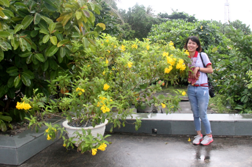Nữ nhà báo duyên dáng bên chậu hoa nở vàng ở đảo