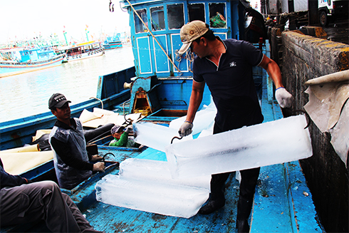 Các tàu câu cá ngừ đại dương khẩn trương chuẩn bị cho chuyến biển “2 năm”.