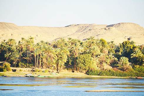 Quang cảnh bờ sông Nil.