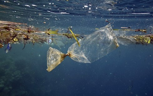 Rác thải nhựa trên đại dương. Ảnh: National Geographic.
