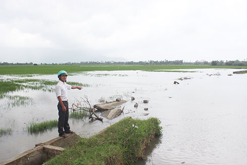 Các công trình thủy lợi trên địa bàn huyện Vạn Ninh bị hư hỏng do bão số 12 sẽ được khắc phục trong năm 2018.