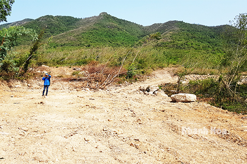 Một diện tích lớn đất đồi tại xã Vĩnh Yên đã bị san ủi, làm mặt bằng, dấu xích bánh xe vẫn còn.