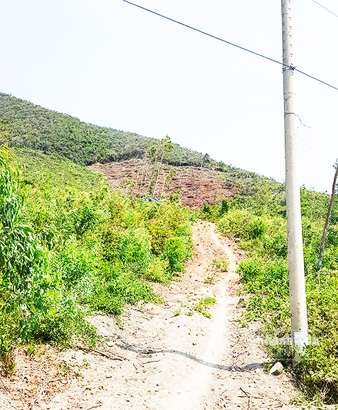 Một mảng đồi nham nhở bị cắt dở tại thôn Vĩnh Yên.