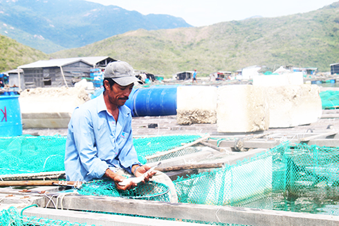 Nông dân nuôi thủy sản cần tuân thủ khuyến cáo của cơ quan chức năng. 