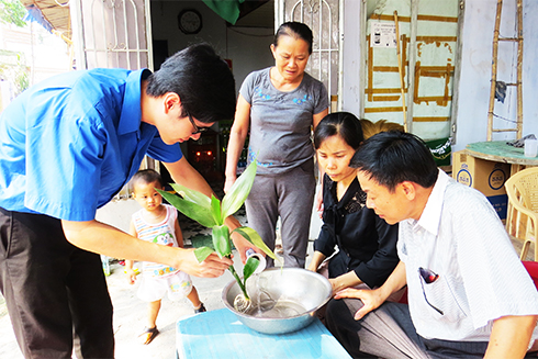 Đoàn viên, thanh niên hướng dẫn người dân diệt lăng quăng ở TP. Nha Trang.