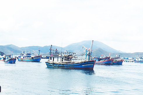 Hiện nay, Khánh Hòa không còn tàu cá vi phạm quy định khai thác bất hợp pháp.
