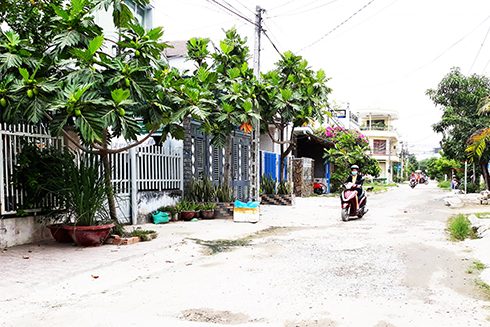 Đường Lương Văn Can, phường Vĩnh Hải - một trong những khu vực chịu ảnh hưởng nặng của mùi hôi thối.