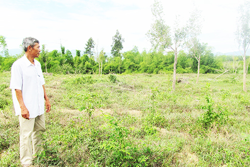 Nhiều người dân Khánh Vĩnh có đất sản xuất vượt hạn điền, hết thời hạn sử dụng.