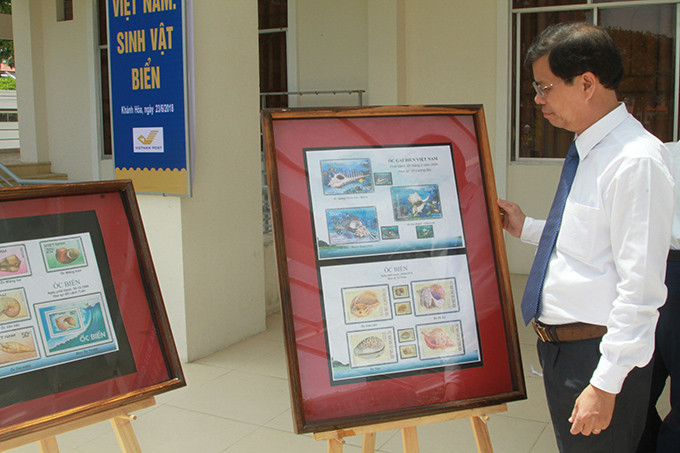 Ông Nguyễn Tấn Tuân xem trưng bày các mẫu tem về sinh vật biển đã được phát hành trước đây.
