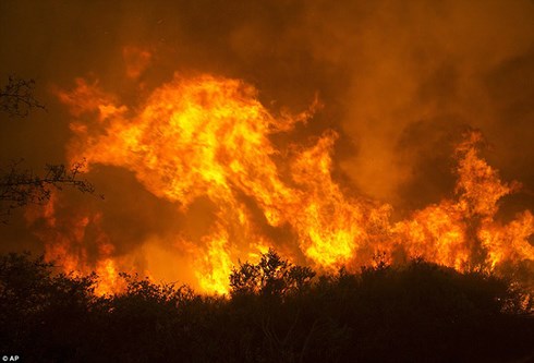 Cháy rừng dữ dội tại California, Mỹ. Ảnh: AP.