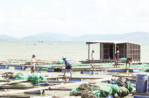 Các hộ nuôi thủy sản bằng lồng bè ở huyện Vạn Ninh  bị thiệt hại nặng sau cơn bão số 12. Ảnh: V.GIANG