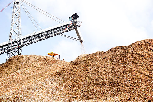 Sản xuất dăm gỗ xuất khẩu tại Công ty TNHH Liên doanh nguyên liệu giấy Cát Phú. 
