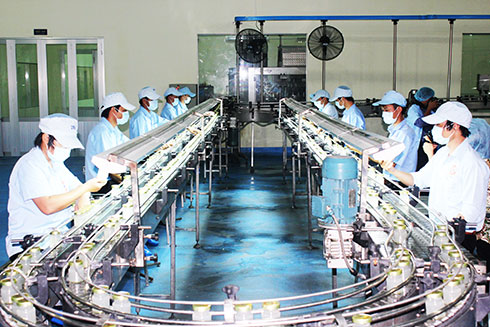 Sản xuất nước yến cao cấp tại Công ty TNHH Nhà nước  một thành viên Yến sào Khánh Hòa.