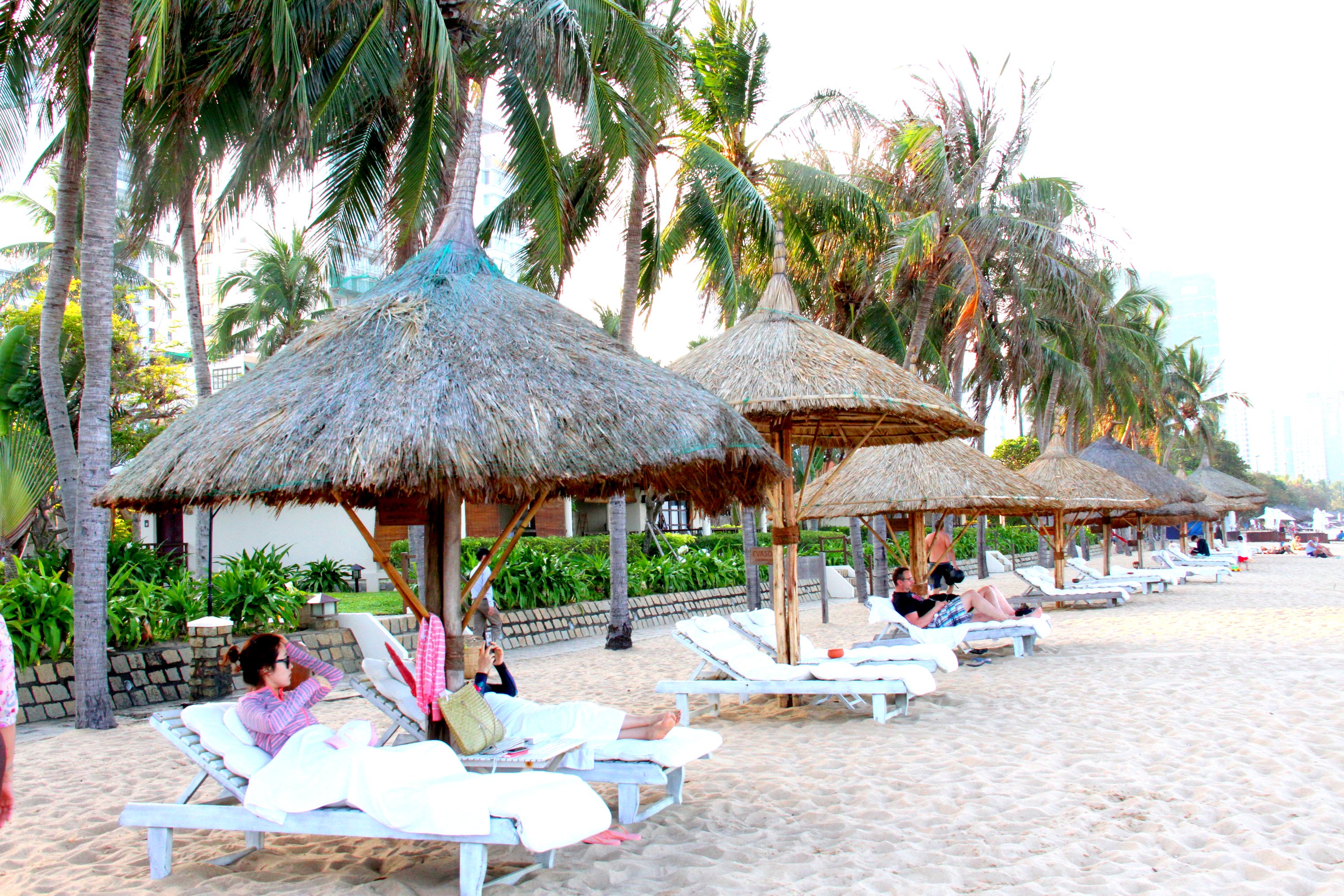 Dù đang được đặt dày đặc trên bãi biển TP. Nha Trang