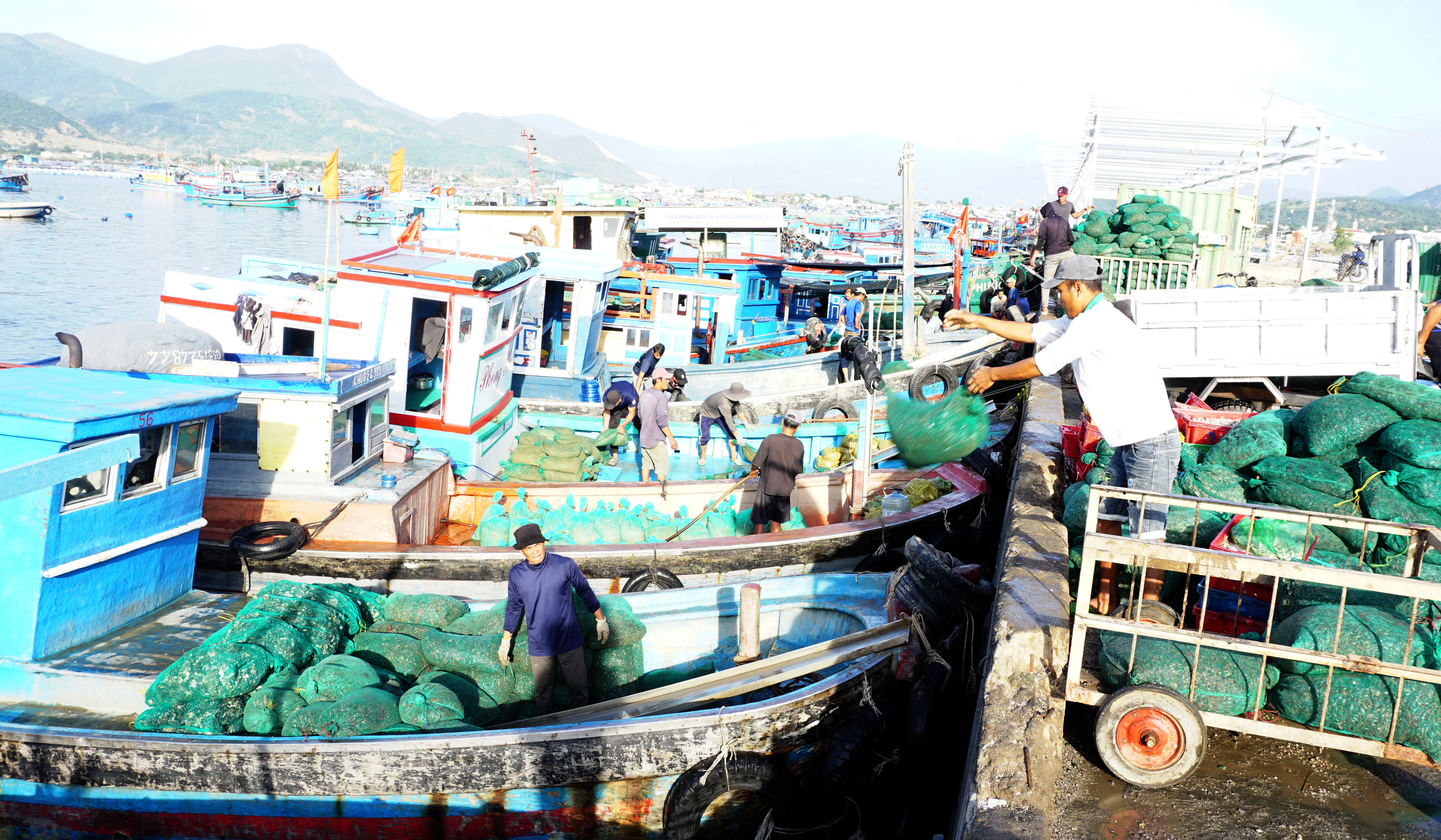 Nhộn nhịp trên cảng Đá Bạc