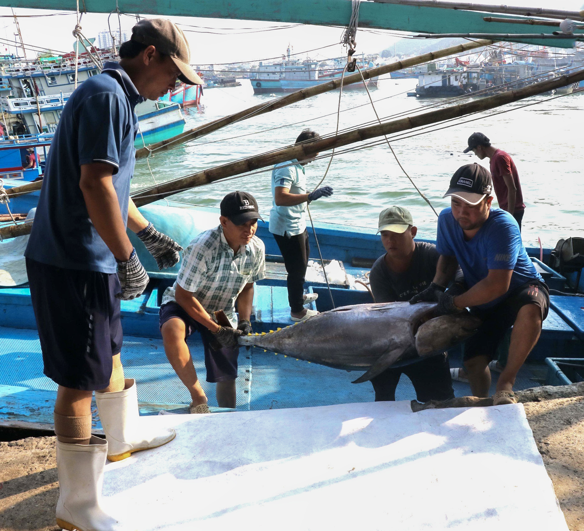 Kỳ vọng chuyến biển đầu năm