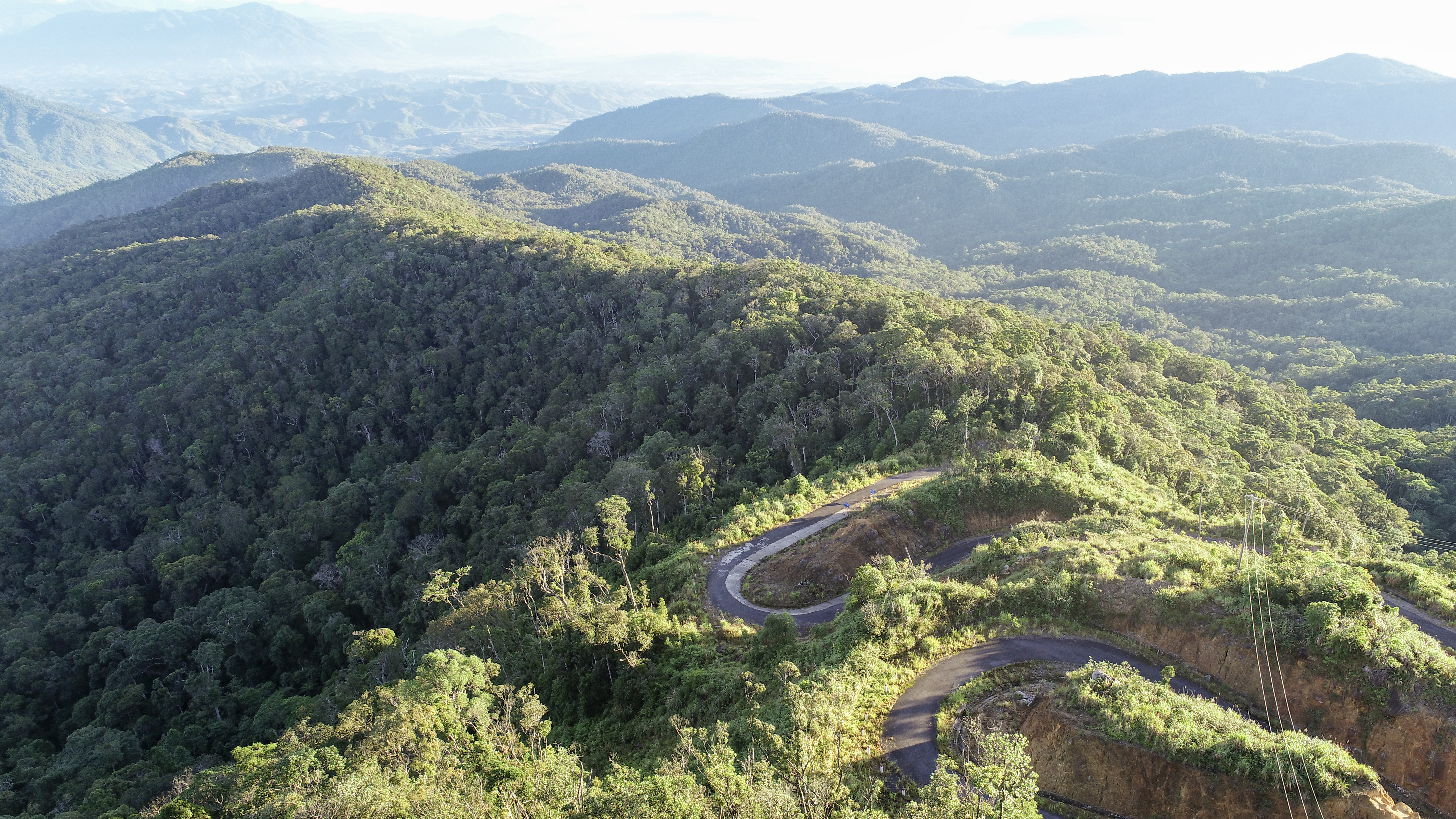 Giữ màu xanh cho rừng Hòn Bà 