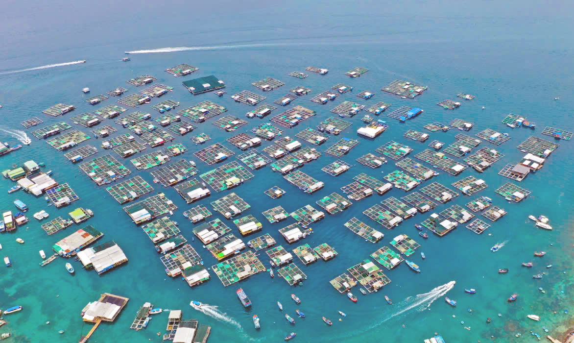 Hội Nông dân phường Vĩnh Nguyên: Đồng hành với hội viên 