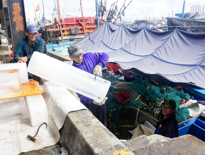 Rộn ràng mở biển đầu năm