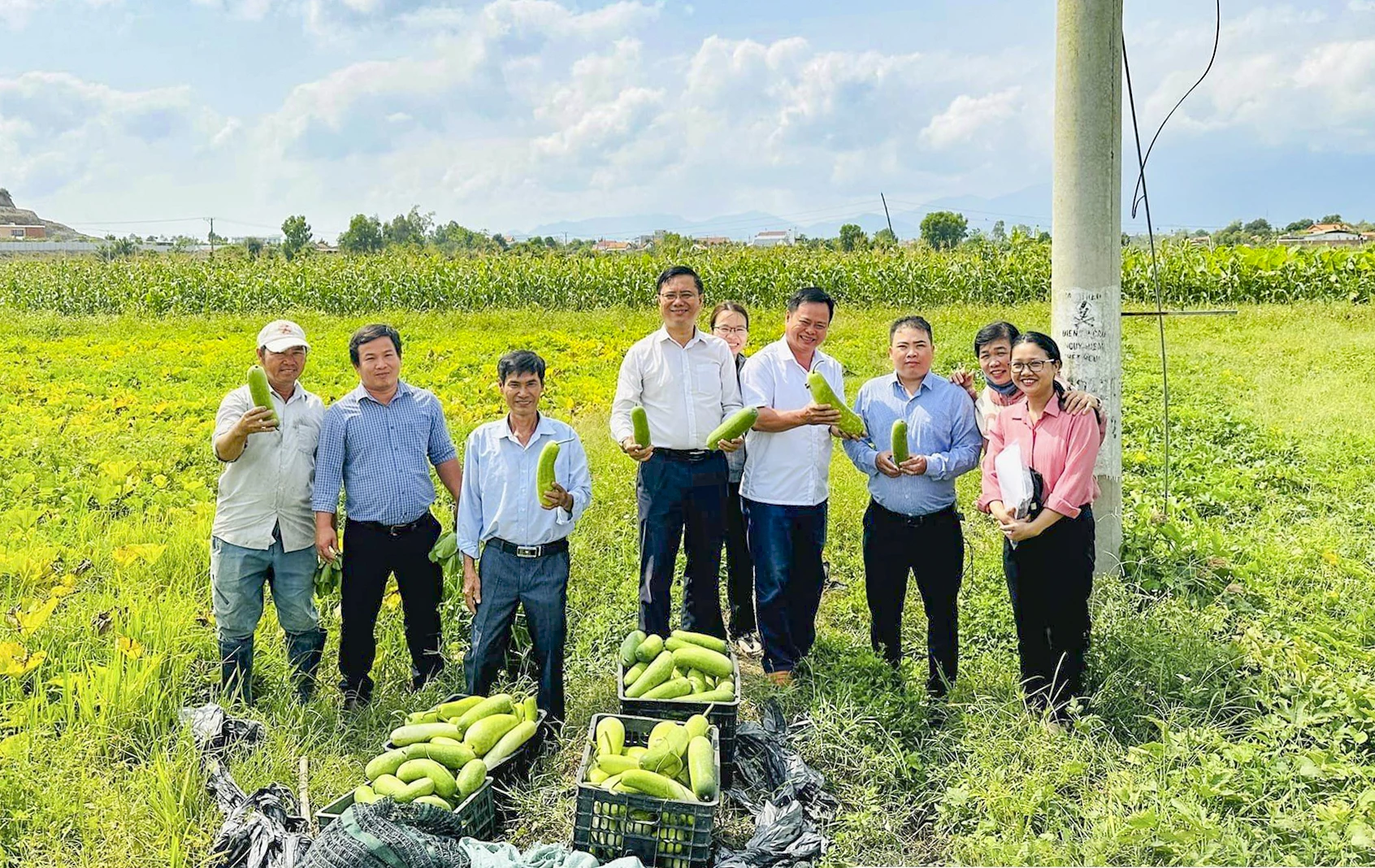 Liên minh Hợp tác xã tỉnh: Khảo sát hỗ trợ xây dựng chuỗi giá trị
