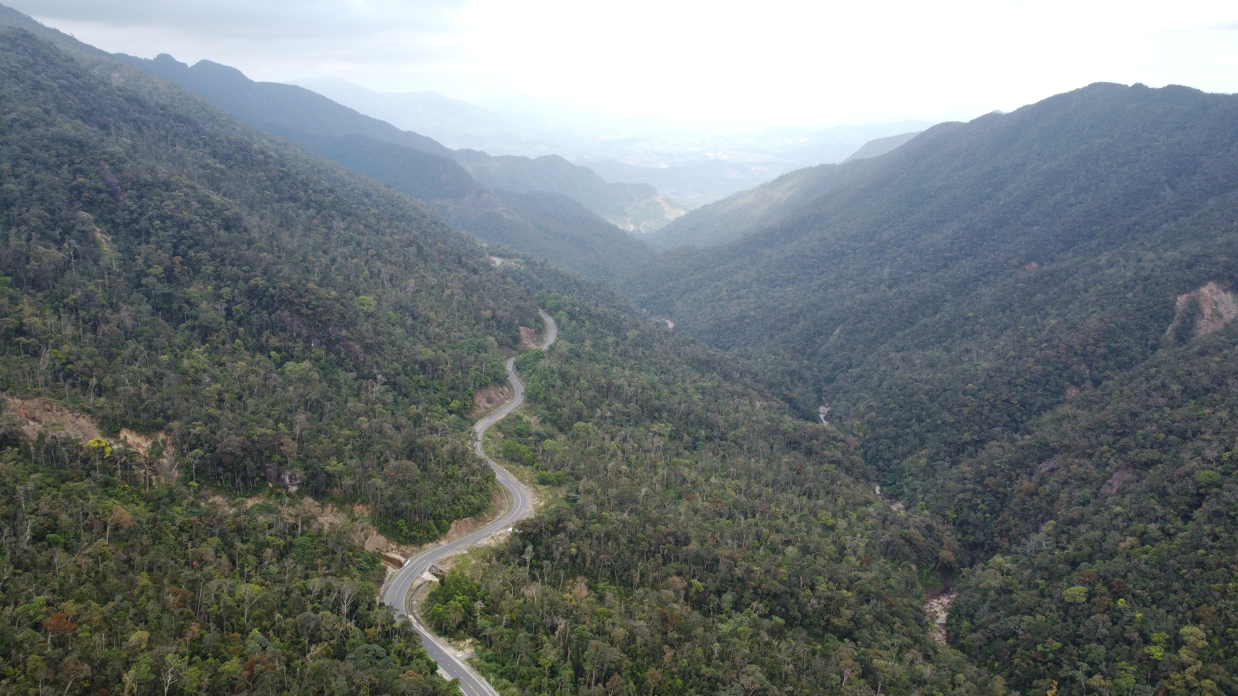 Khánh Vĩnh: Tăng cường công tác bảo vệ rừng 