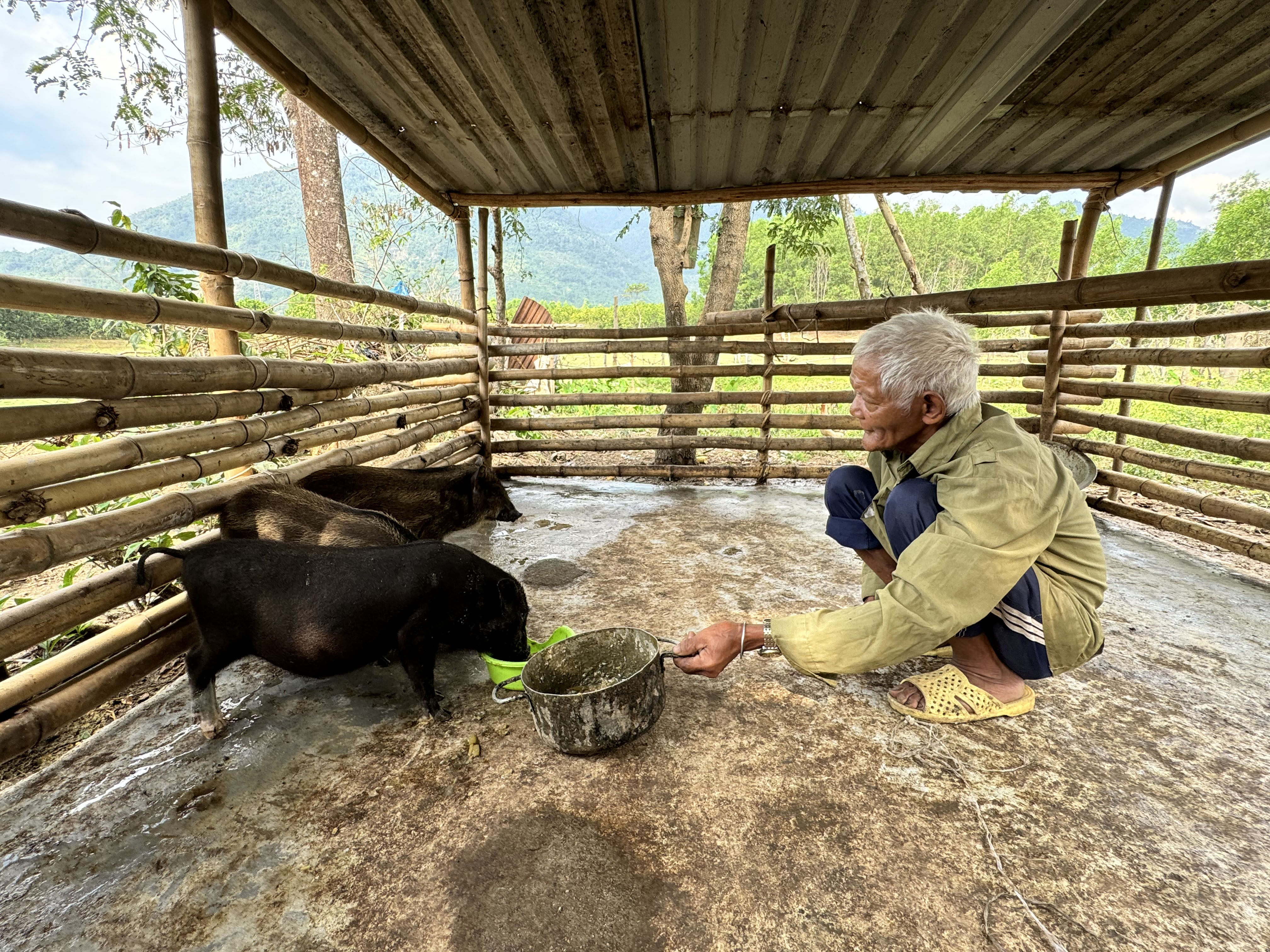 Lan tỏa tinh thần nhân đạo trong cộng đồng