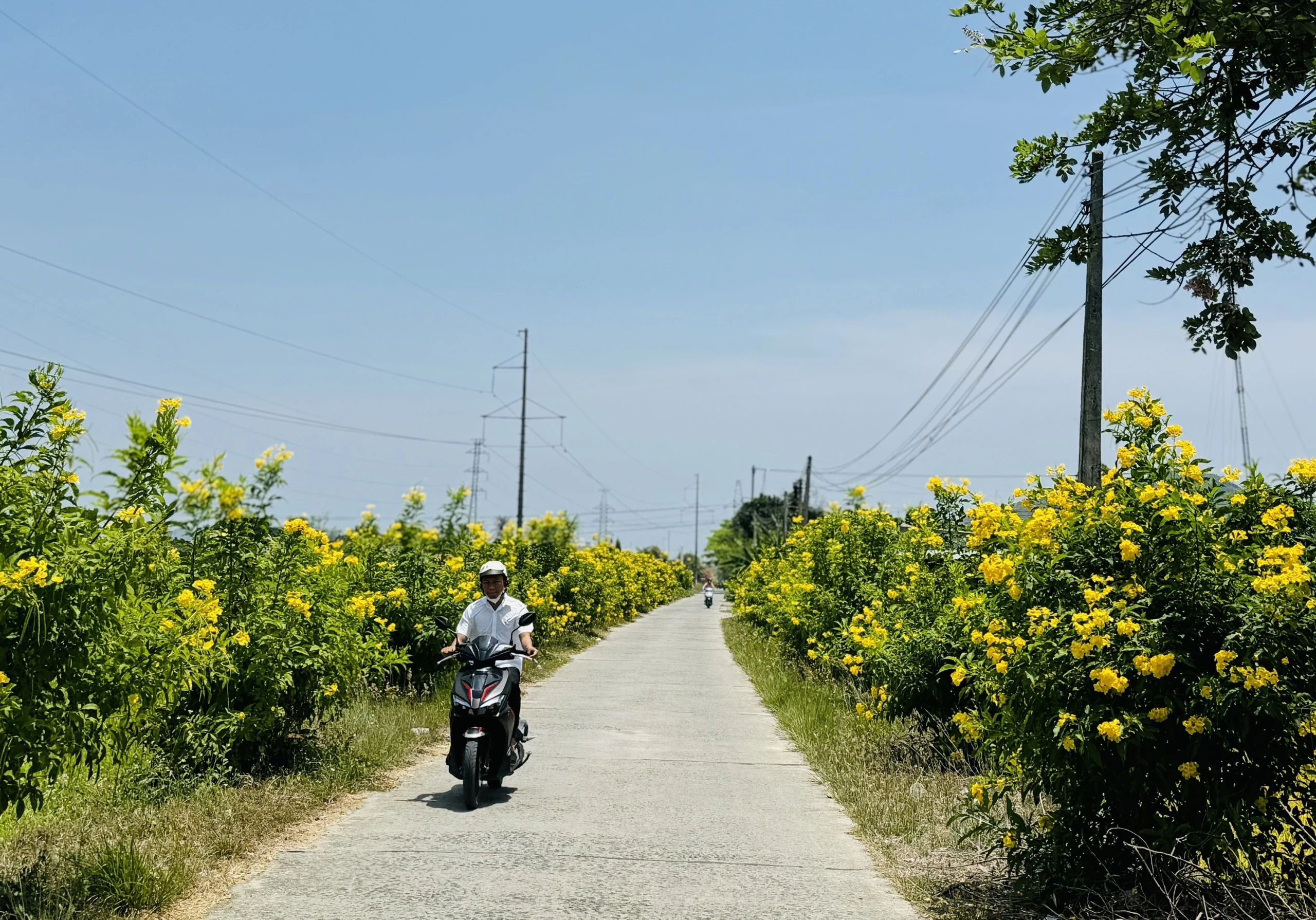Mặt trận các cấp huyện Diên Khánh: Nhiều việc làm ý nghĩa trước thềm đại hội