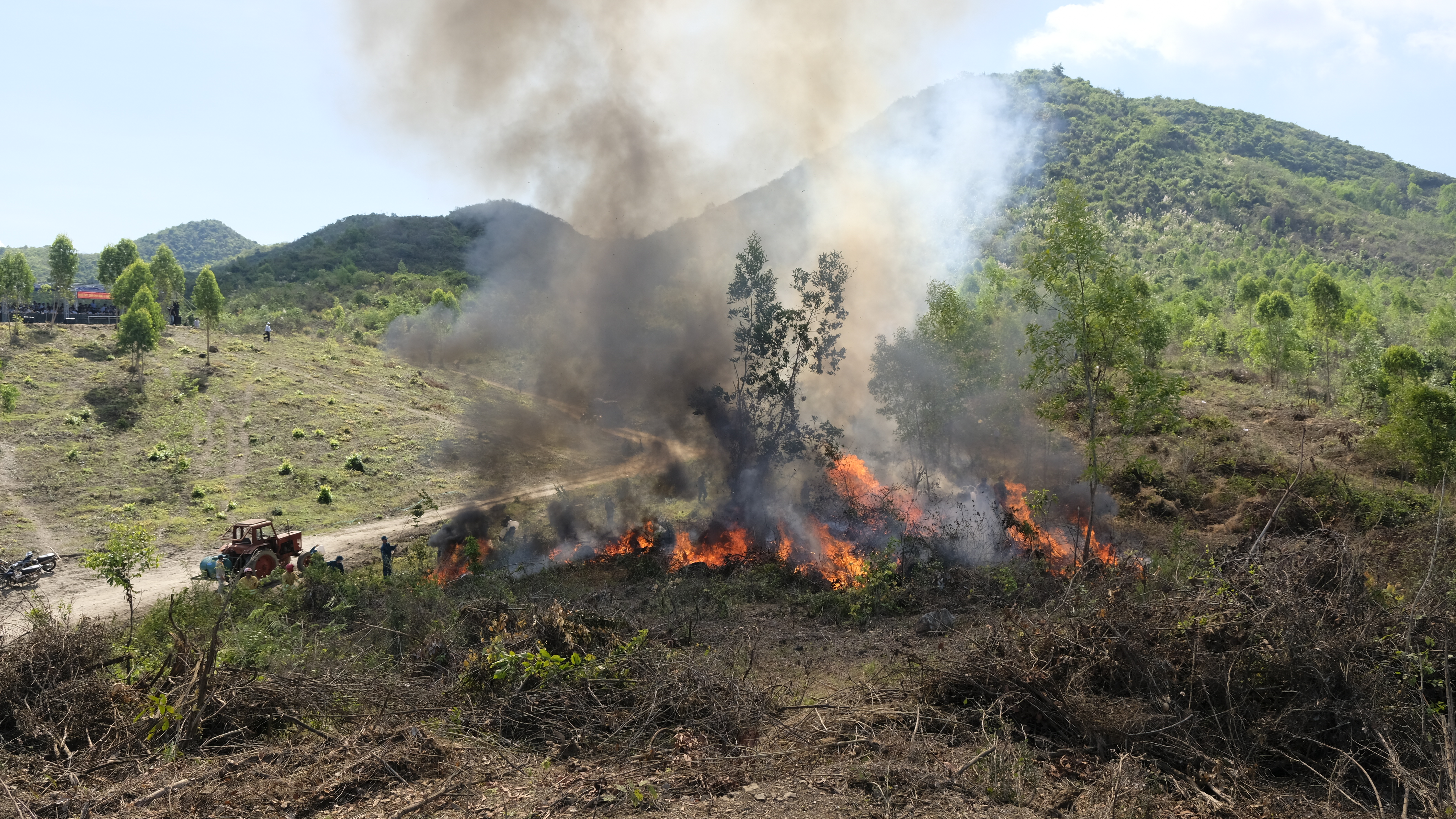 Chủ động phòng, chống cháy rừng 