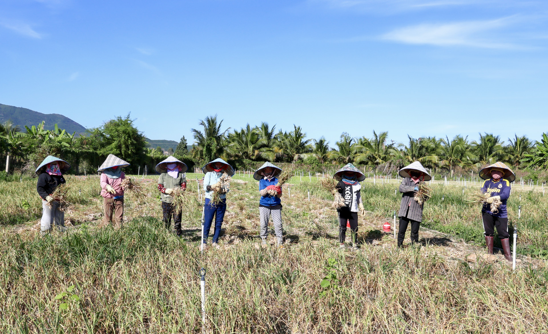 baokhanhhoa.vn