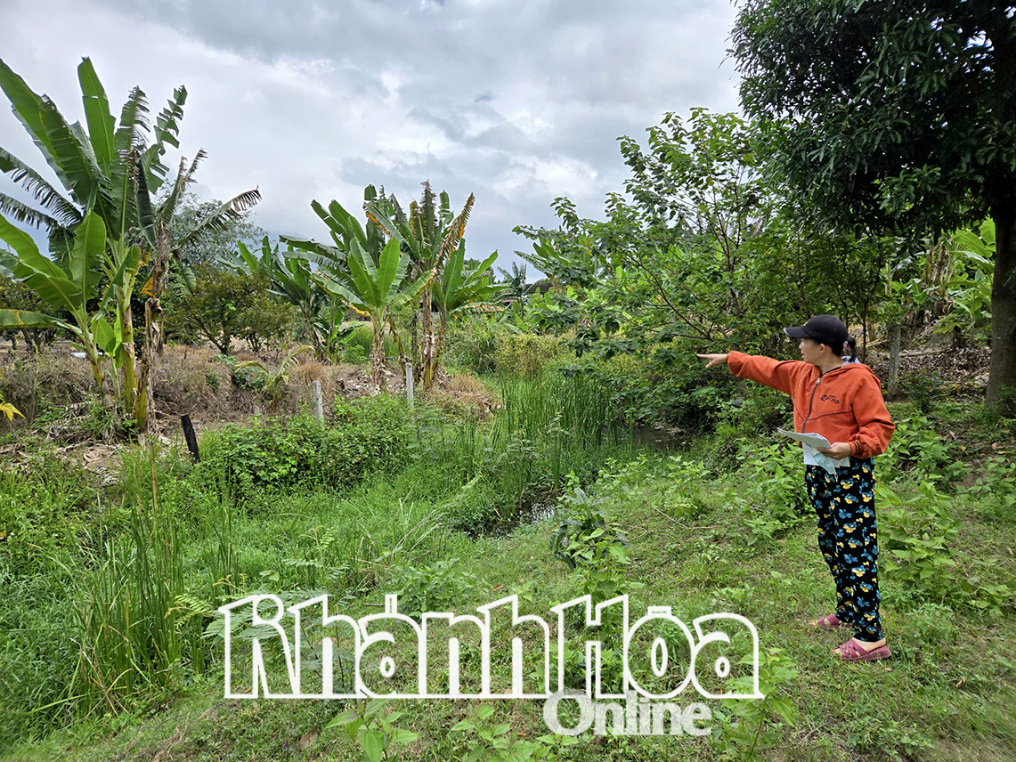 Vụ việc lấn chiếm dòng suối ở xã Cam Phước Tây: Chính quyền xử phạt, người dân kiện ra tòa