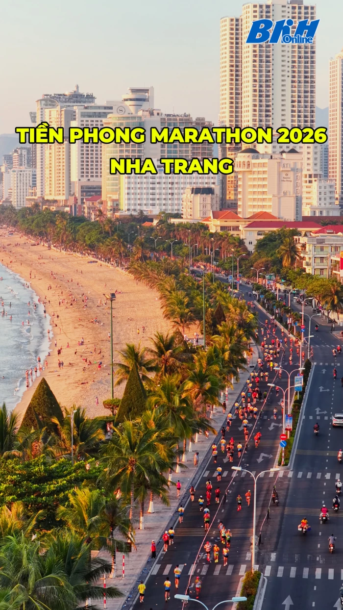 Khoảnh khắc Tiền Phong Marathon 2026 trên cung đường biển đẹp nhất Nha Trang.