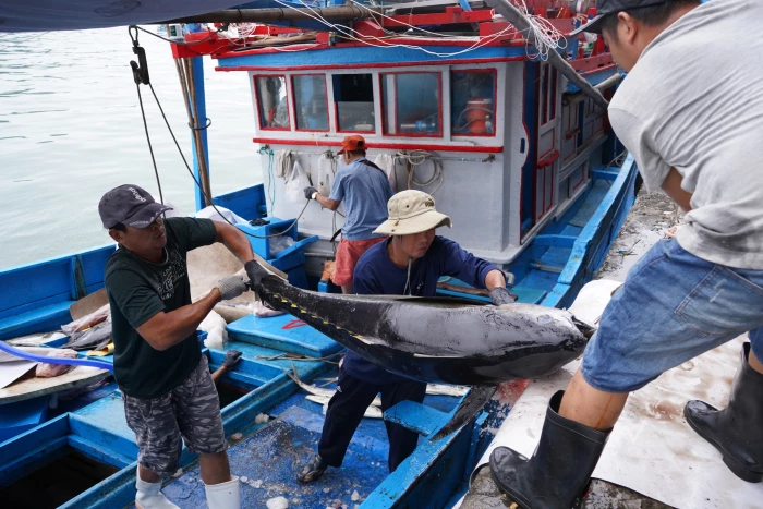 Giá xăng, dầu tăng cao - ​​​​Nhiều lĩnh vực chịu ảnh hưởng nặng - Kỳ 2: Doanh nghiệp và người dân 